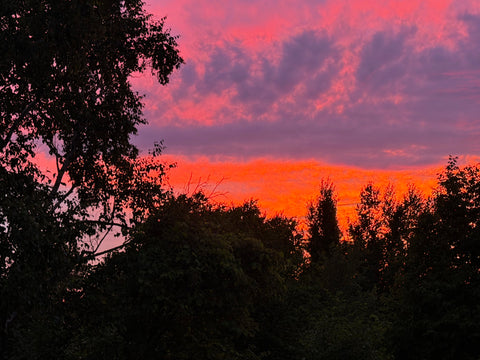 Evenings in Siren